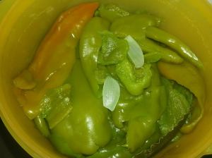 10703377_810312872347535_215075955_o