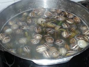 10272868_738437012868455_171990004_o