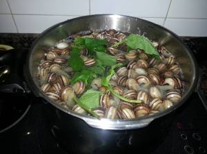 10284674_738429416202548_1239287176_o