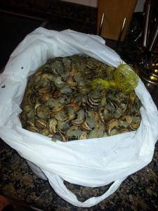 10318636_738375656207924_2084926891_n