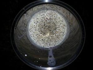 10386737_842405205804968_6277168731704544613_n