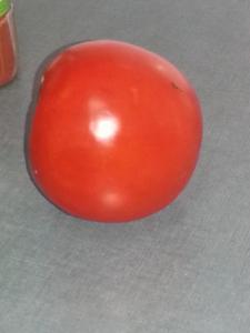 10518710_833168523395303_7713375478557553563_n