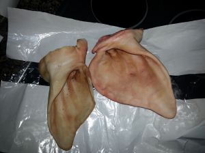 10983090_897439510301537_1631129755_o