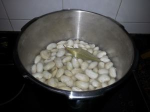 10998434_898021370243351_1961285979_o