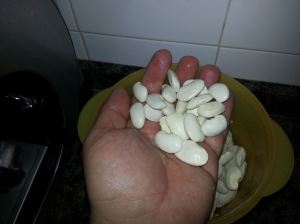 10999194_897333666978788_1804445413_o