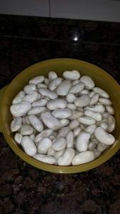 11007583_898023673576454_575670900_n