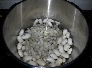 11009628_898022190243269_466947203_o