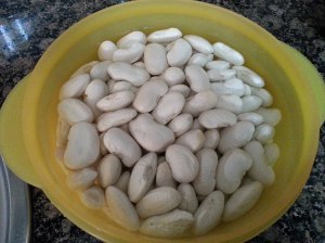 11009781_898023543576467_259606622_o