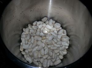 11018193_898022423576579_1648430017_o