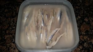 11201283_938027239576097_1948330946_o