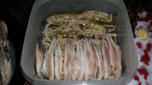 11207729_938030882909066_1089423477_o