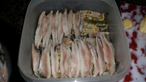 11207931_938031196242368_1531369764_o