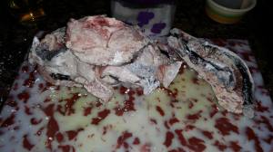 11247598_953649758013845_774674433_o