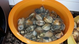 11267980_953150051397149_784588193_o