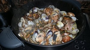 11273788_953354071376747_1521057023_o