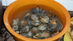 11311826_953150091397145_742846775_o