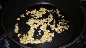 11335724_953341768044644_642961053_o