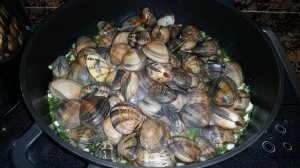 11422026_953347161377438_1716662203_o