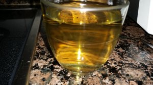 11422919_953341754711312_551590465_o