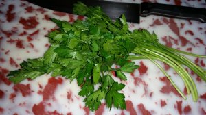 11423859_953273064718181_830512626_o